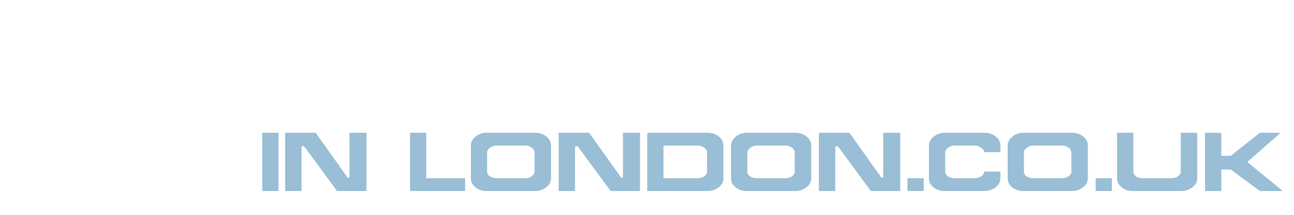 safety-netting-in-london-logo-1